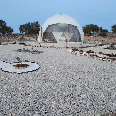 Tassourt Lodge エッサウィラ エクステリア 写真